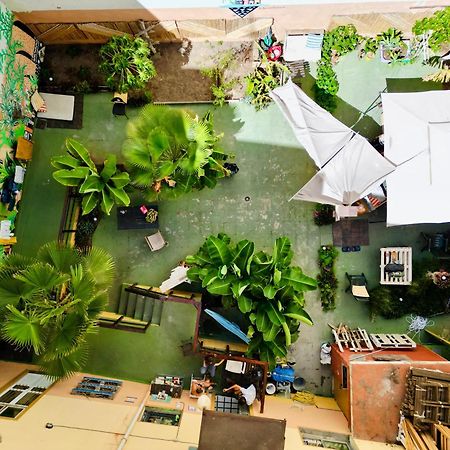 Jungle House Hostel Las Palmas Exterior photo